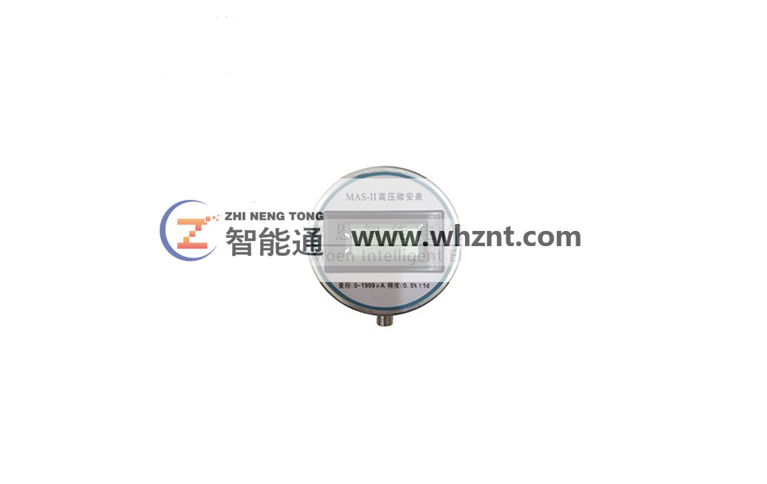 上海微安表